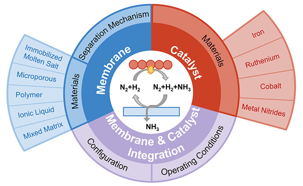 TOC for Membrane Reactors for Ammonia Production: Insights into Ammonia-Separative Membranes, Synthesis Catalysts, and Their Integration